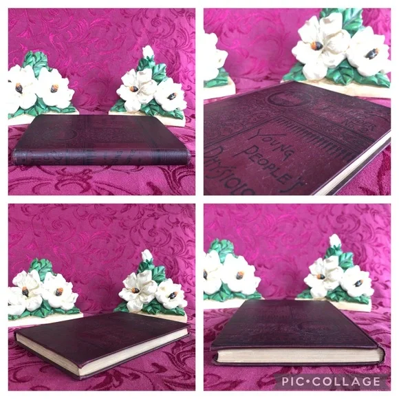 1888 Antique Book: Physiology for Young People Adapted to Intermediate Classes - Picture 3 of 10